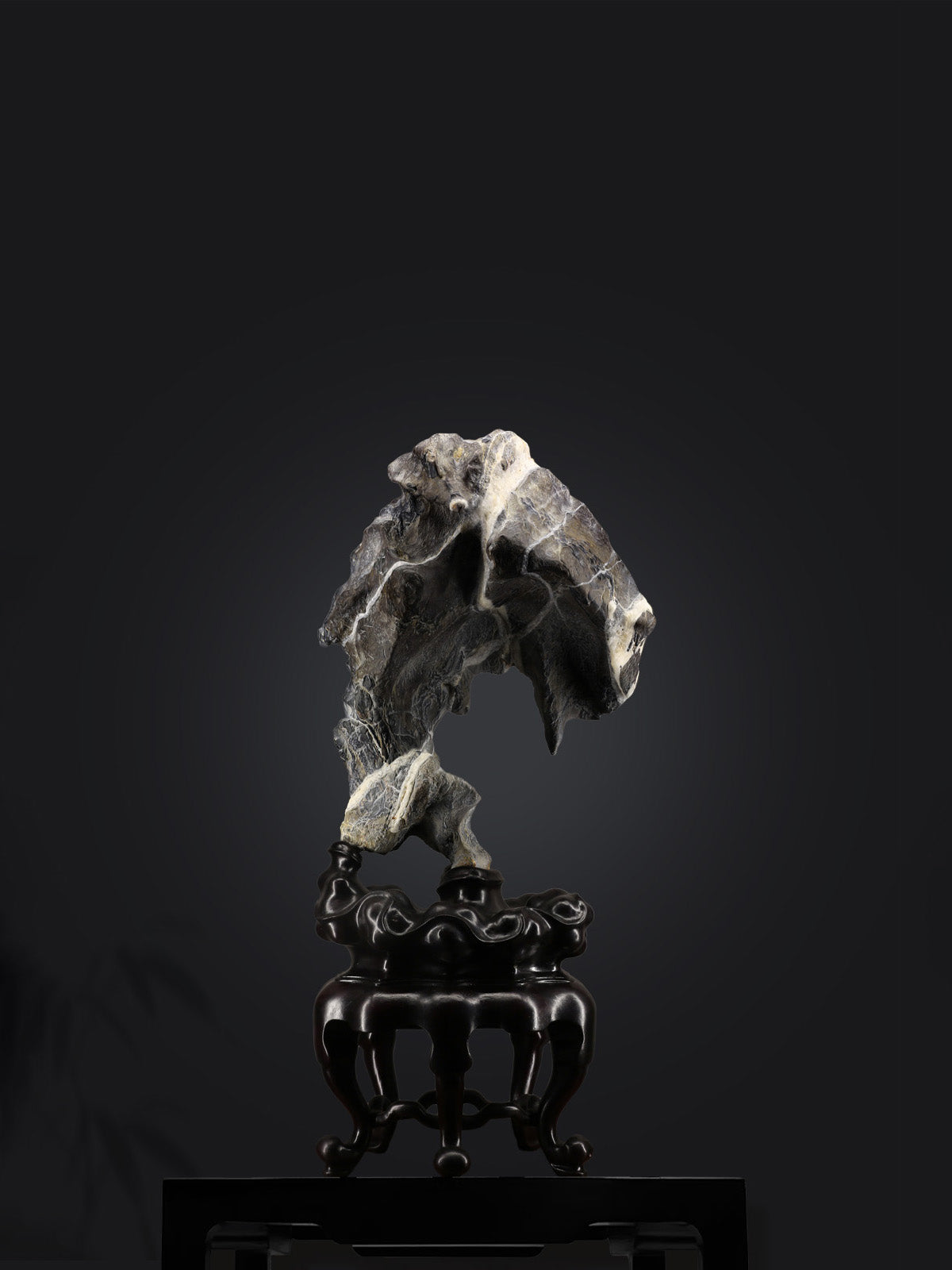 誰言行遠莫致之