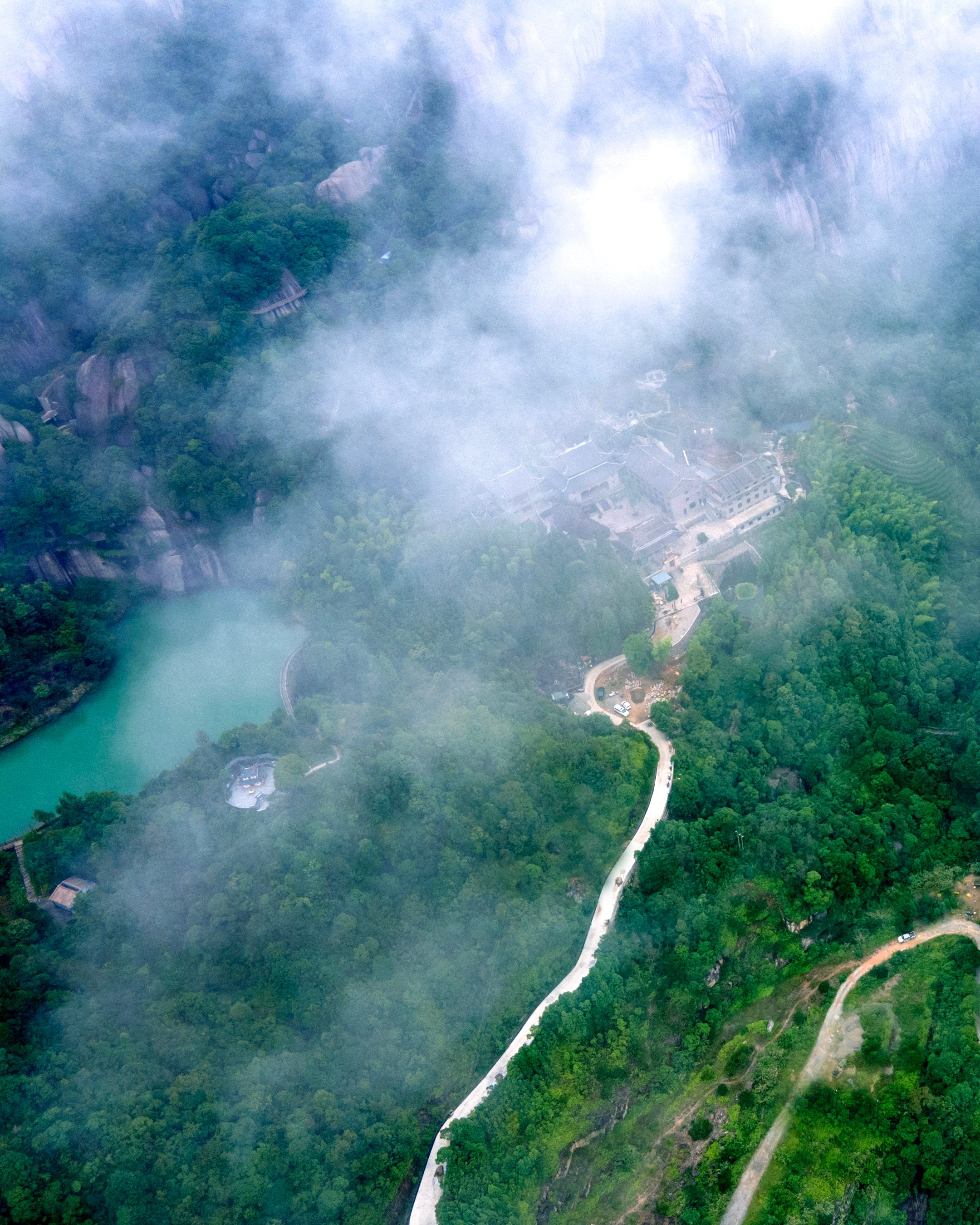 2010 太姥山師太荒野白茶