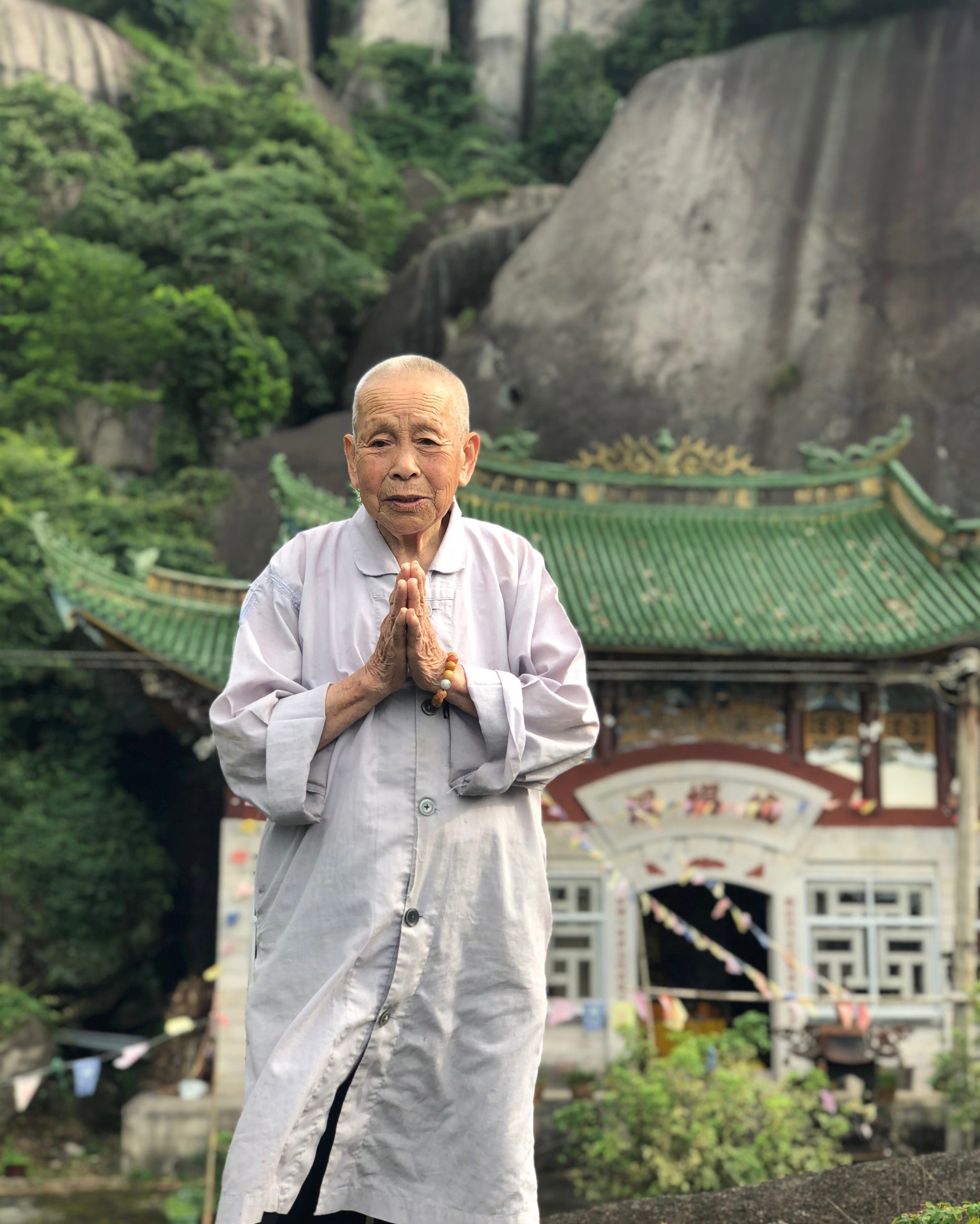 2013 Tai Mu Mountain White Hair Silver Needle