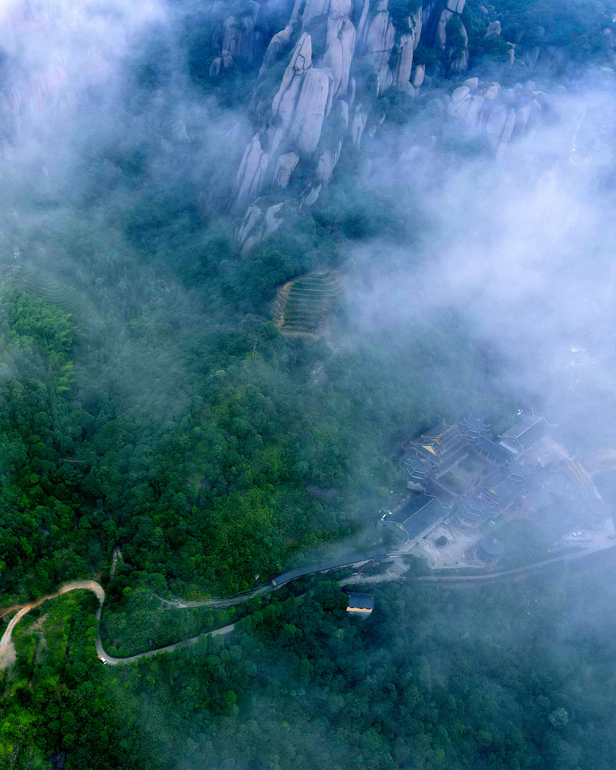 1990 Taimushan Organic White Tea