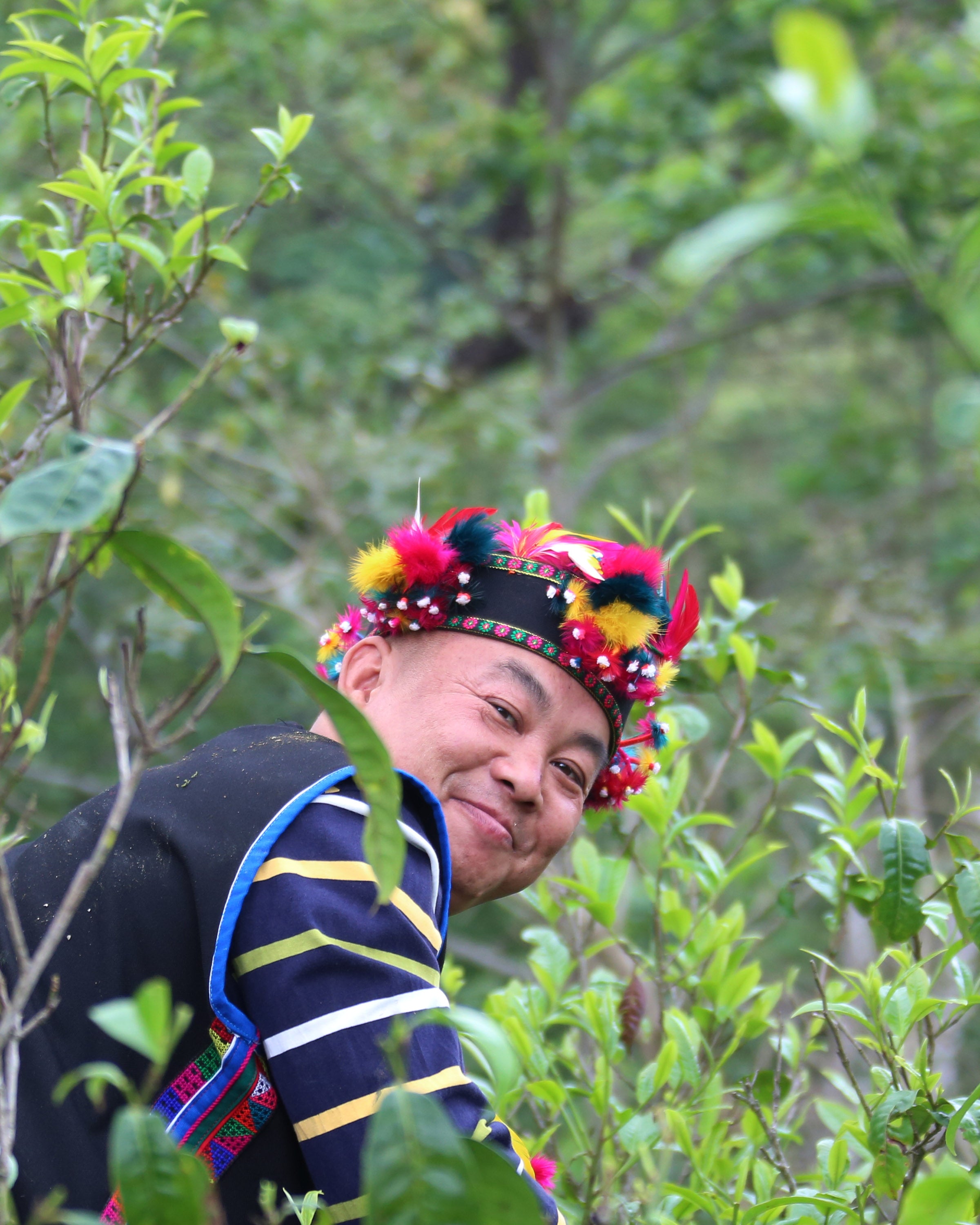 Nanuo Mountain Ancient Tree Sun-Dried Black Tea