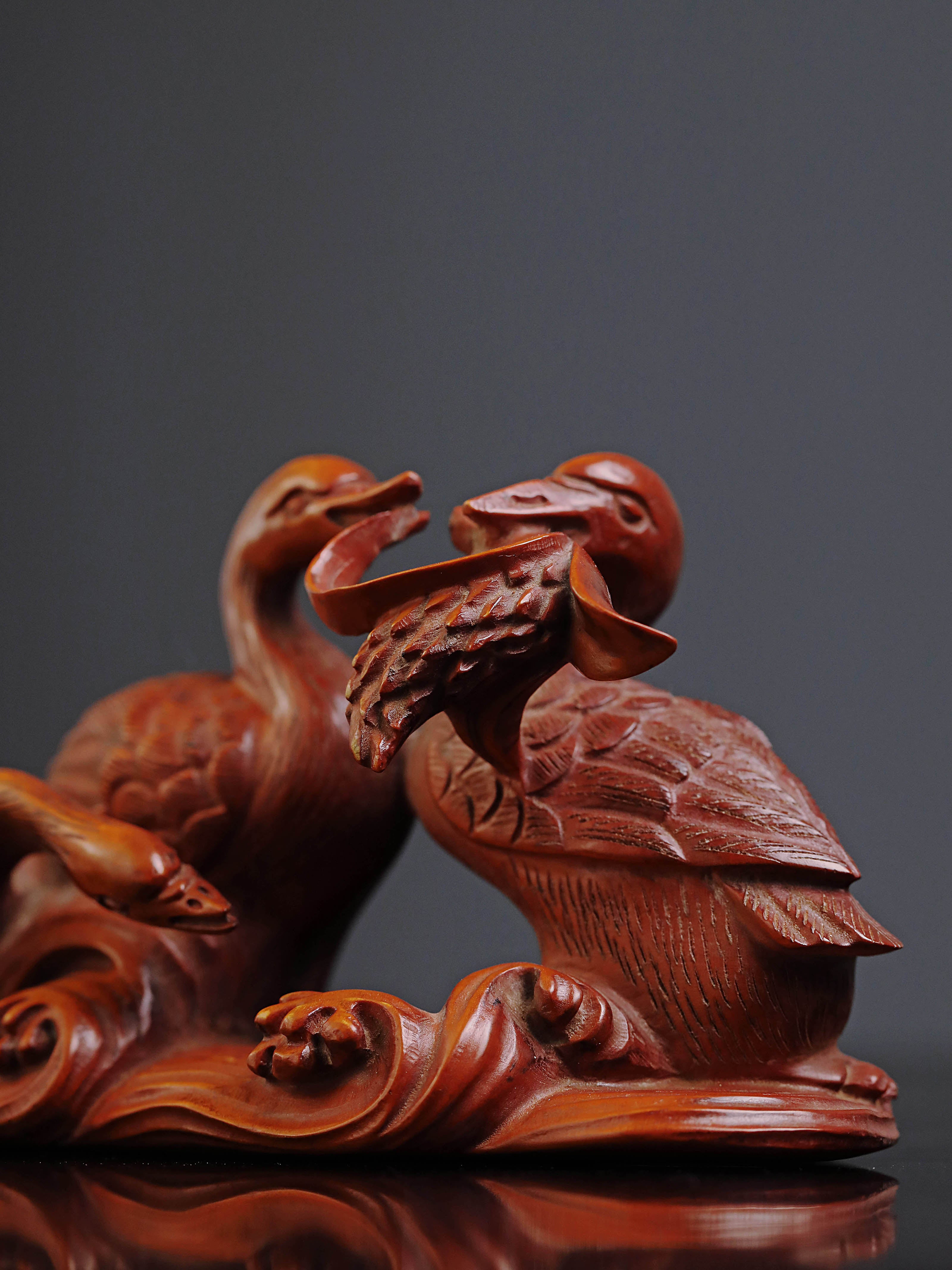 黄杨木春江水暖