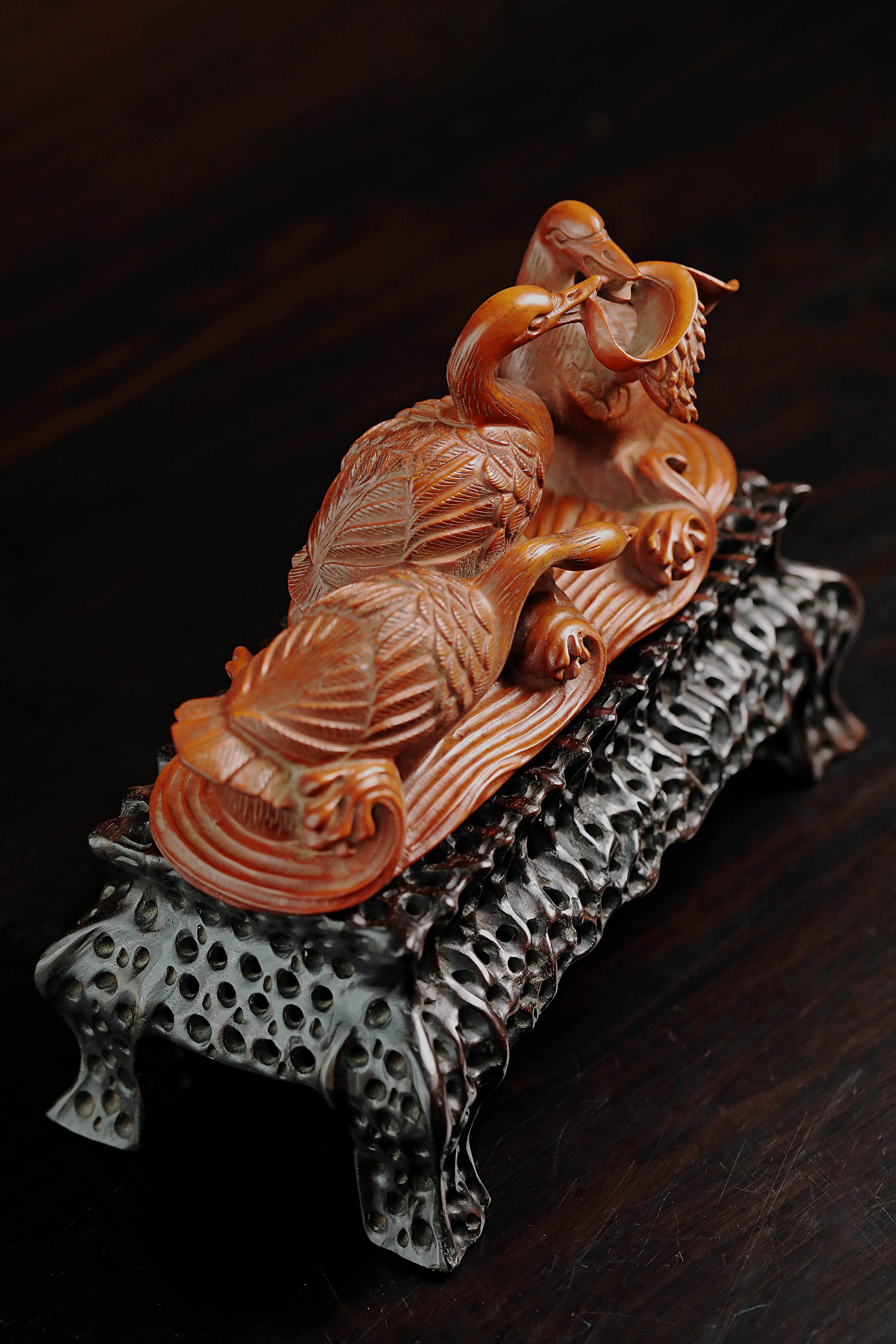 黄杨木春江水暖