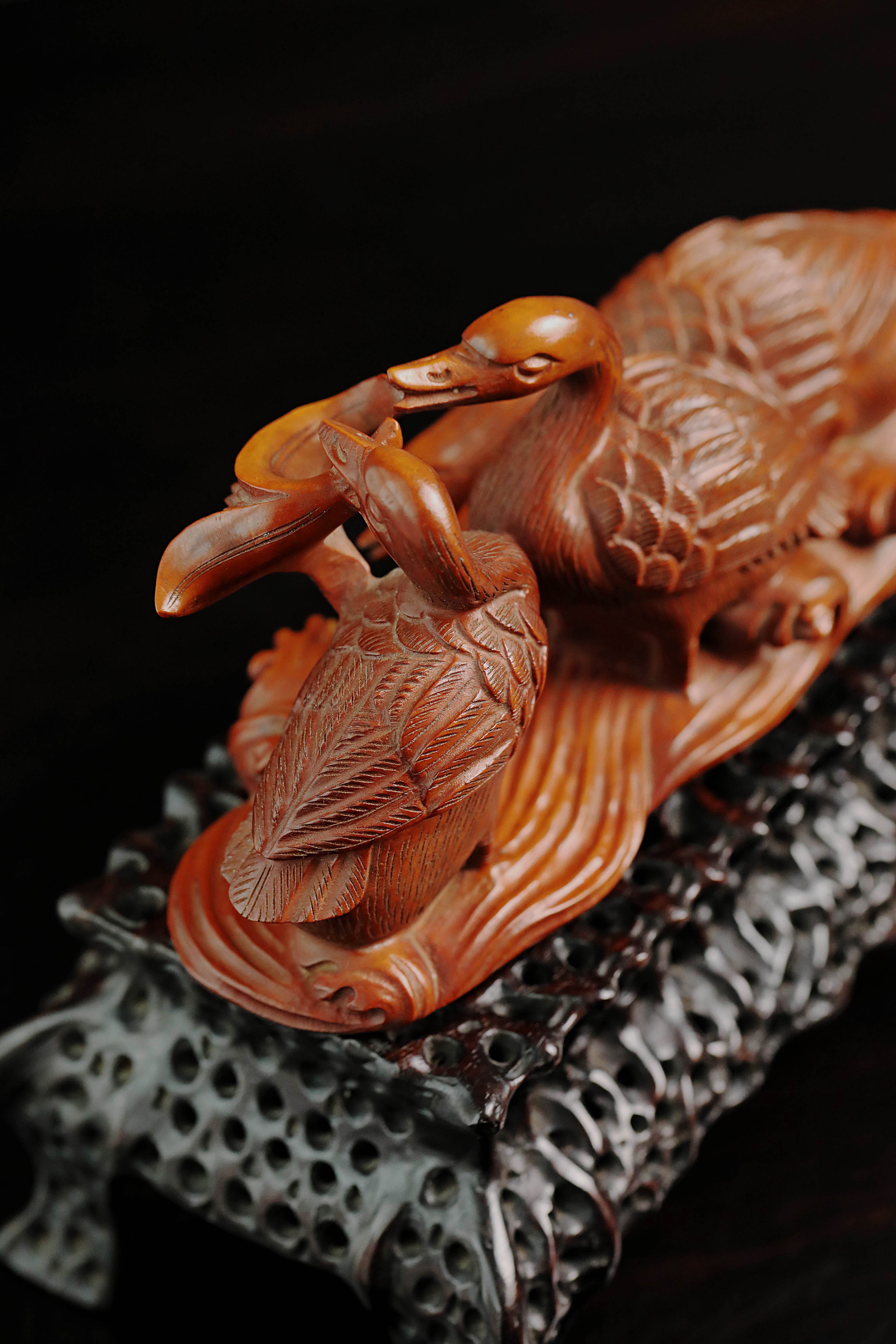 黄杨木春江水暖