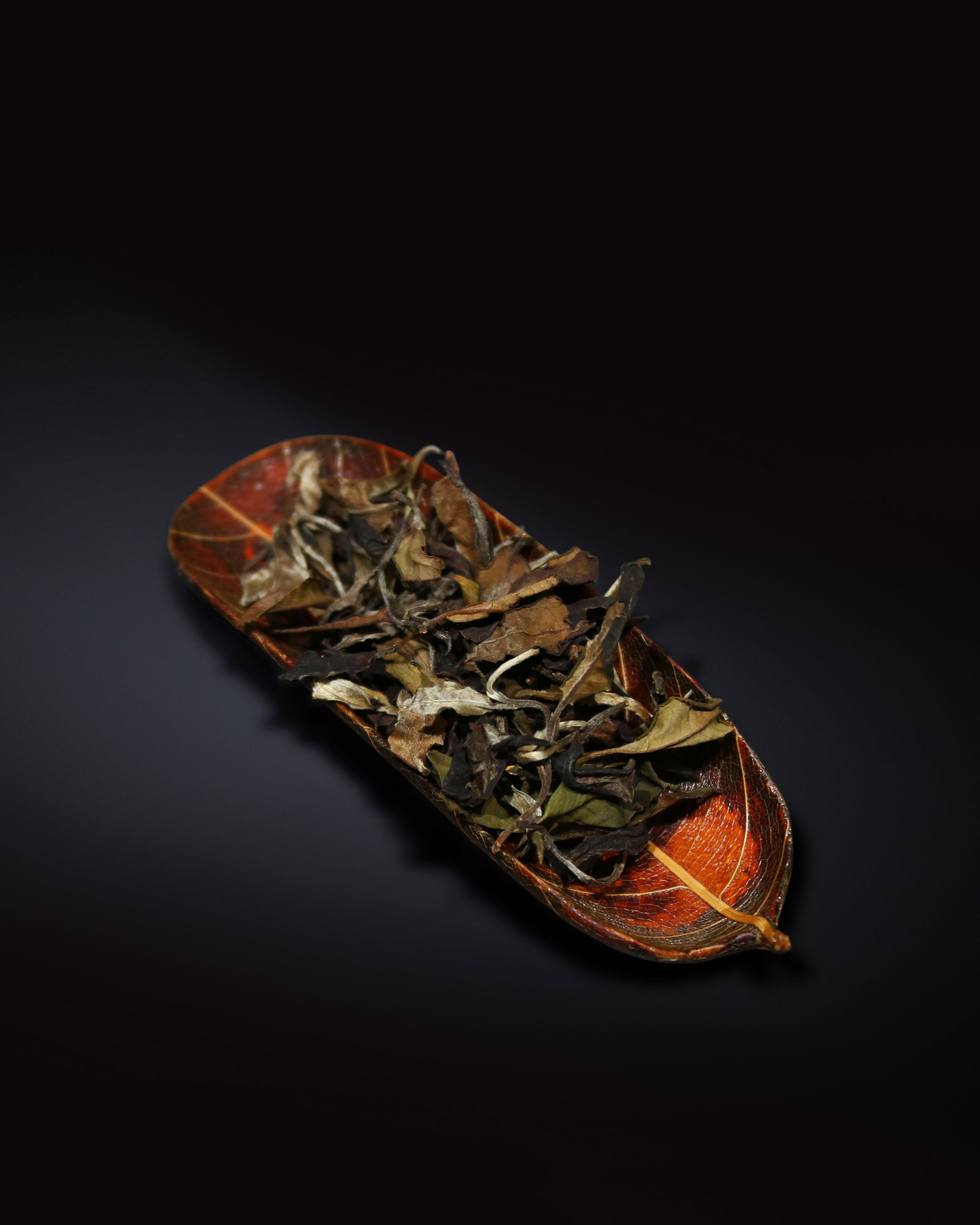 Yiwu Wild Mountain Old Tree Large Leaf White Tea