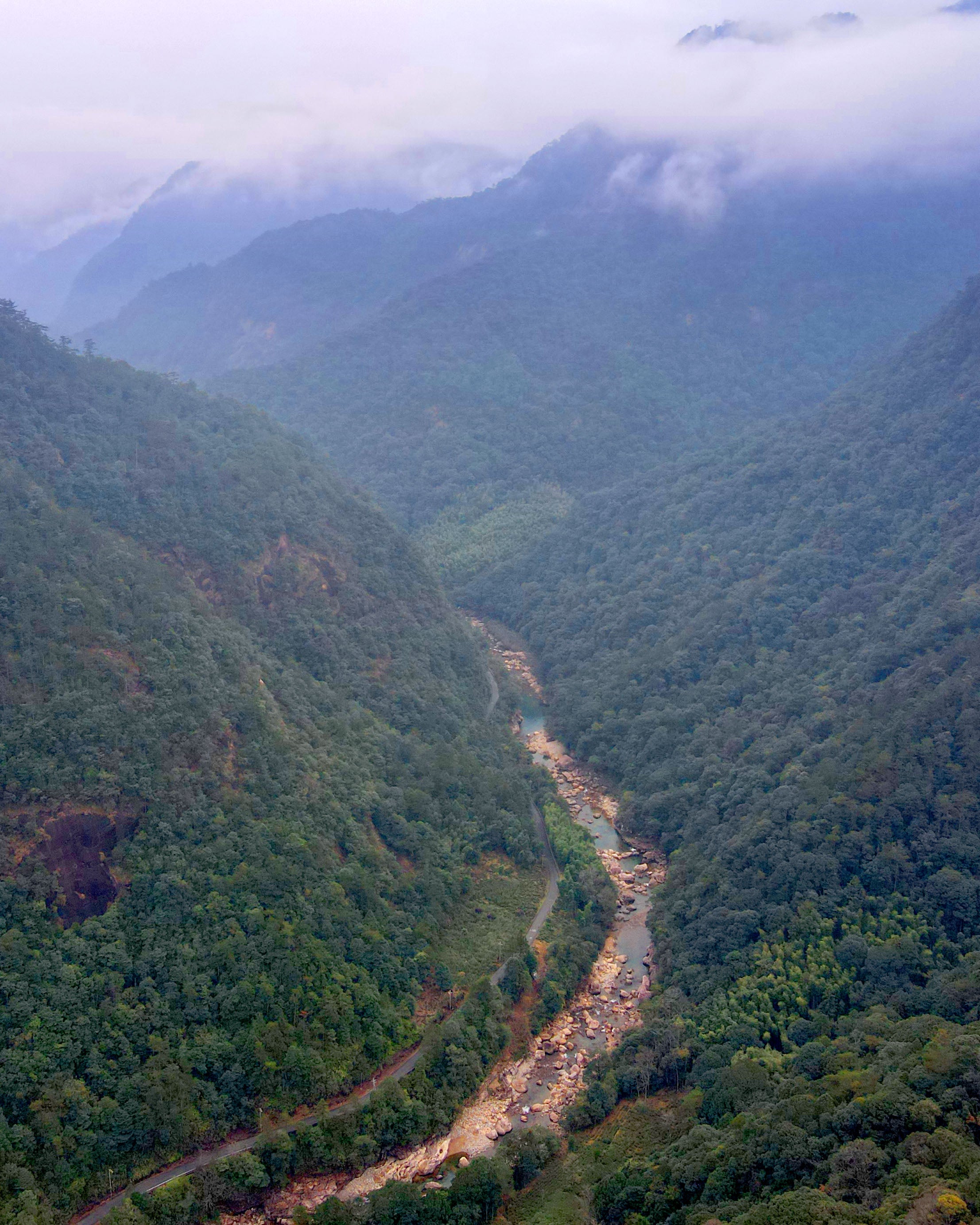 Tongmu Pass Jinjunmei