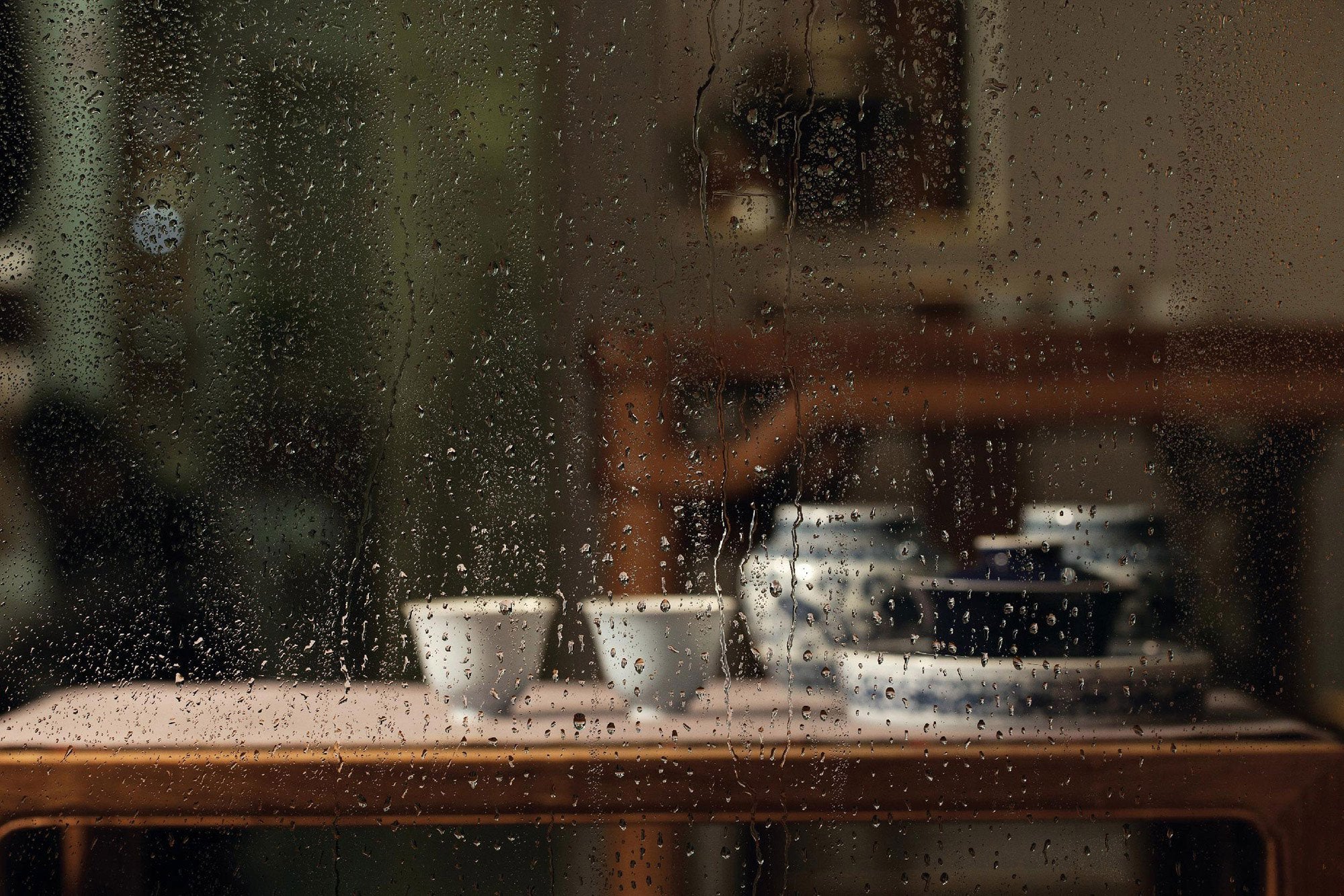 青花藻纹茶叶罐