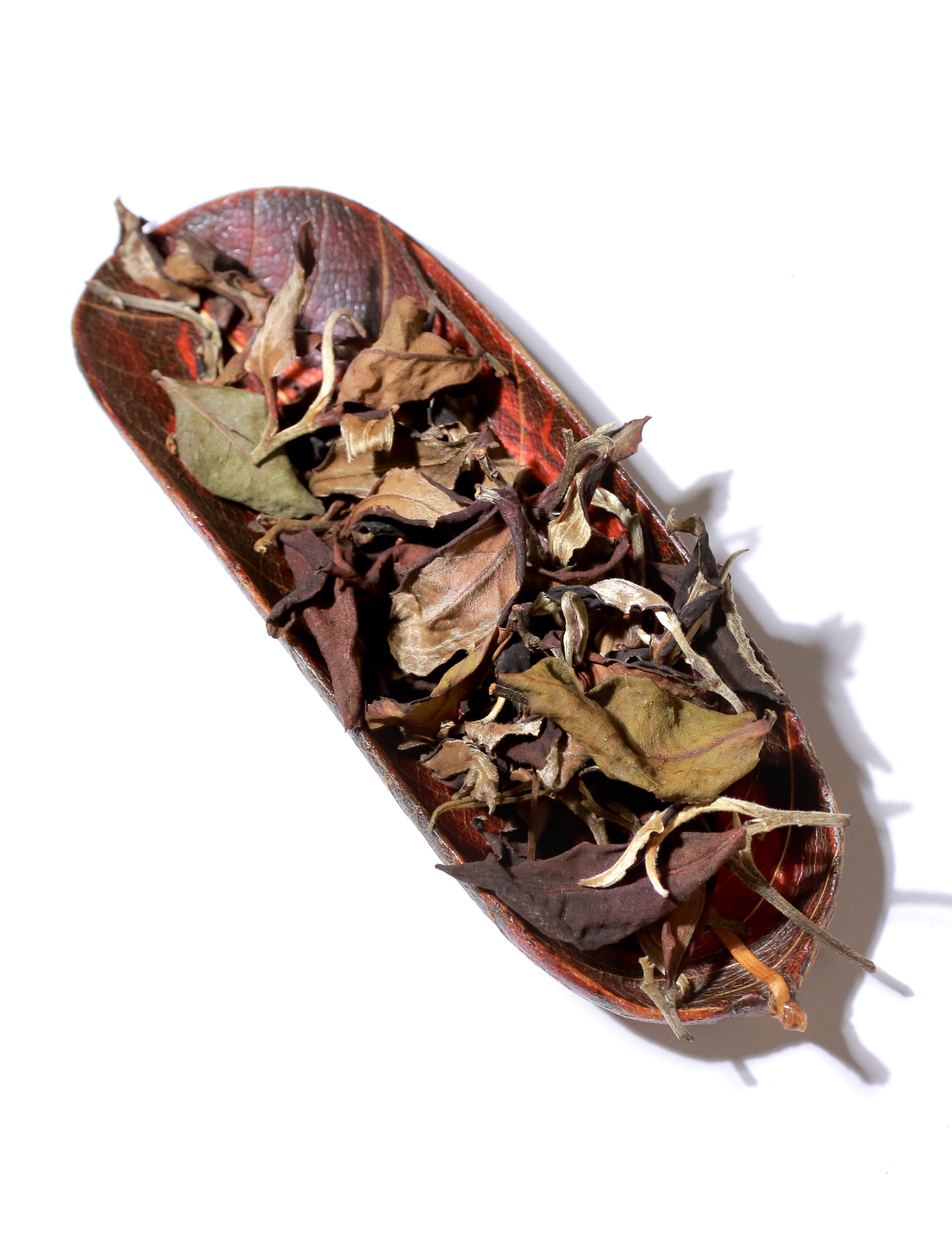 2023 Pu'er Mountain White Tea