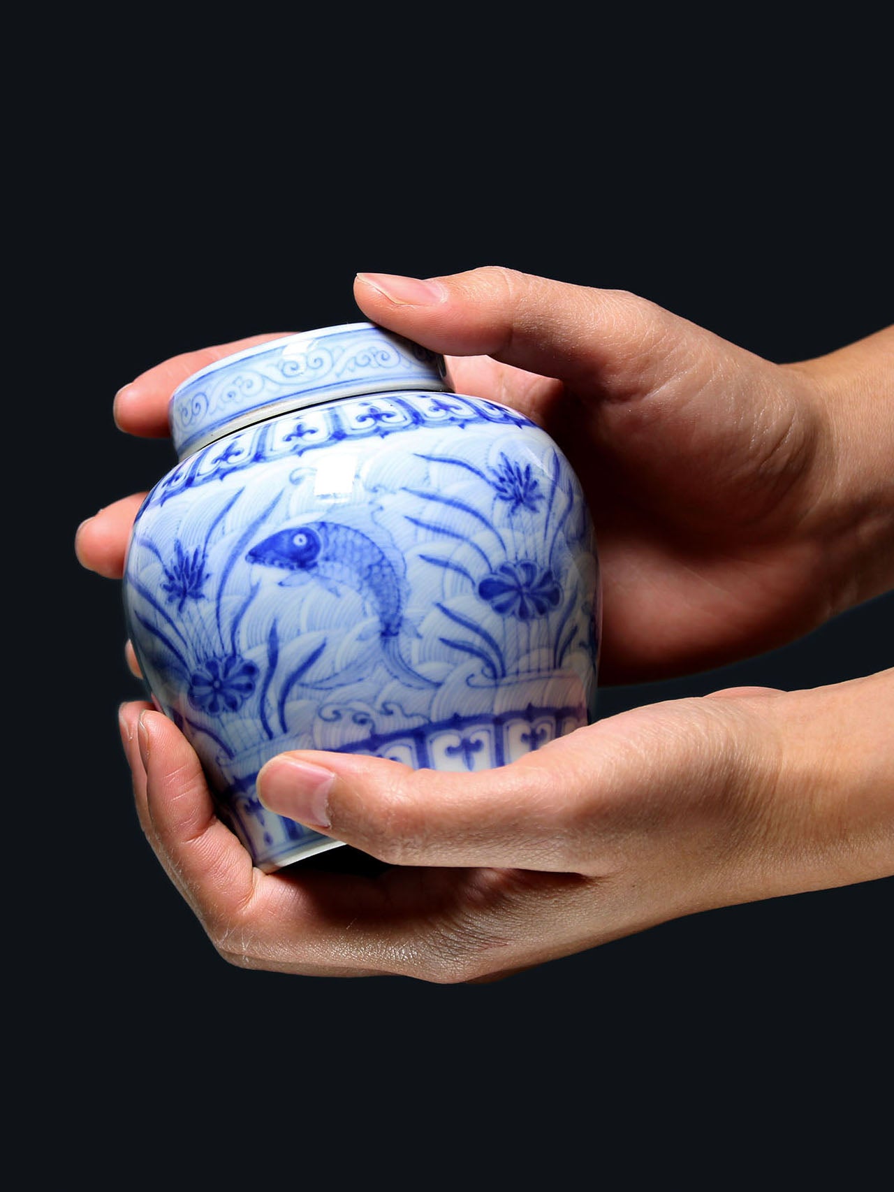 青花藻纹茶叶罐