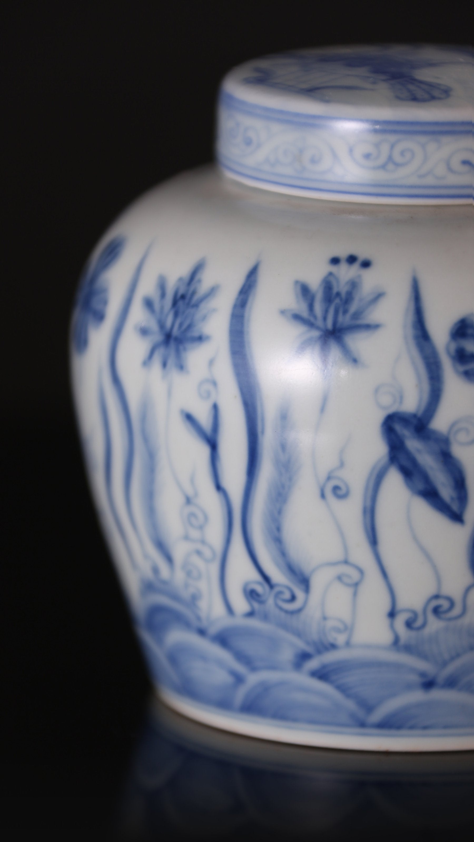 青花藻纹茶叶罐