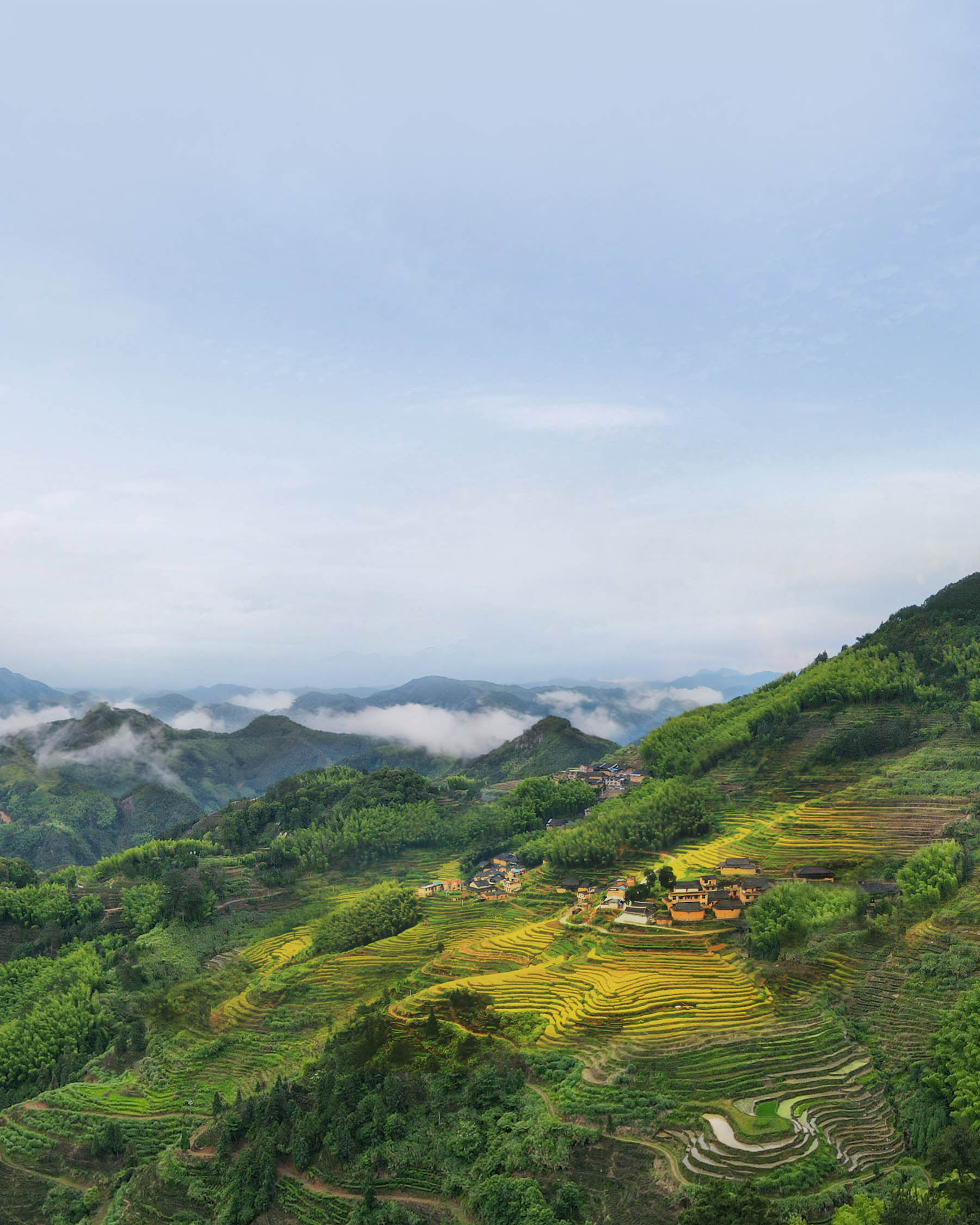 Red Mudan and Red Guanyin