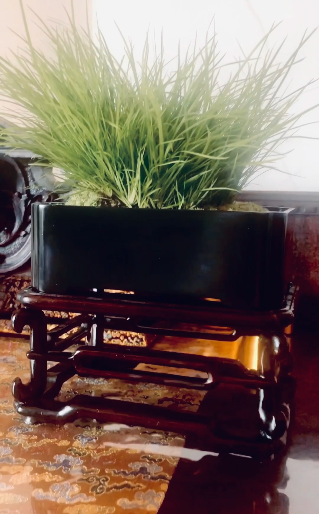 大雅堂砚石菖蒲盆