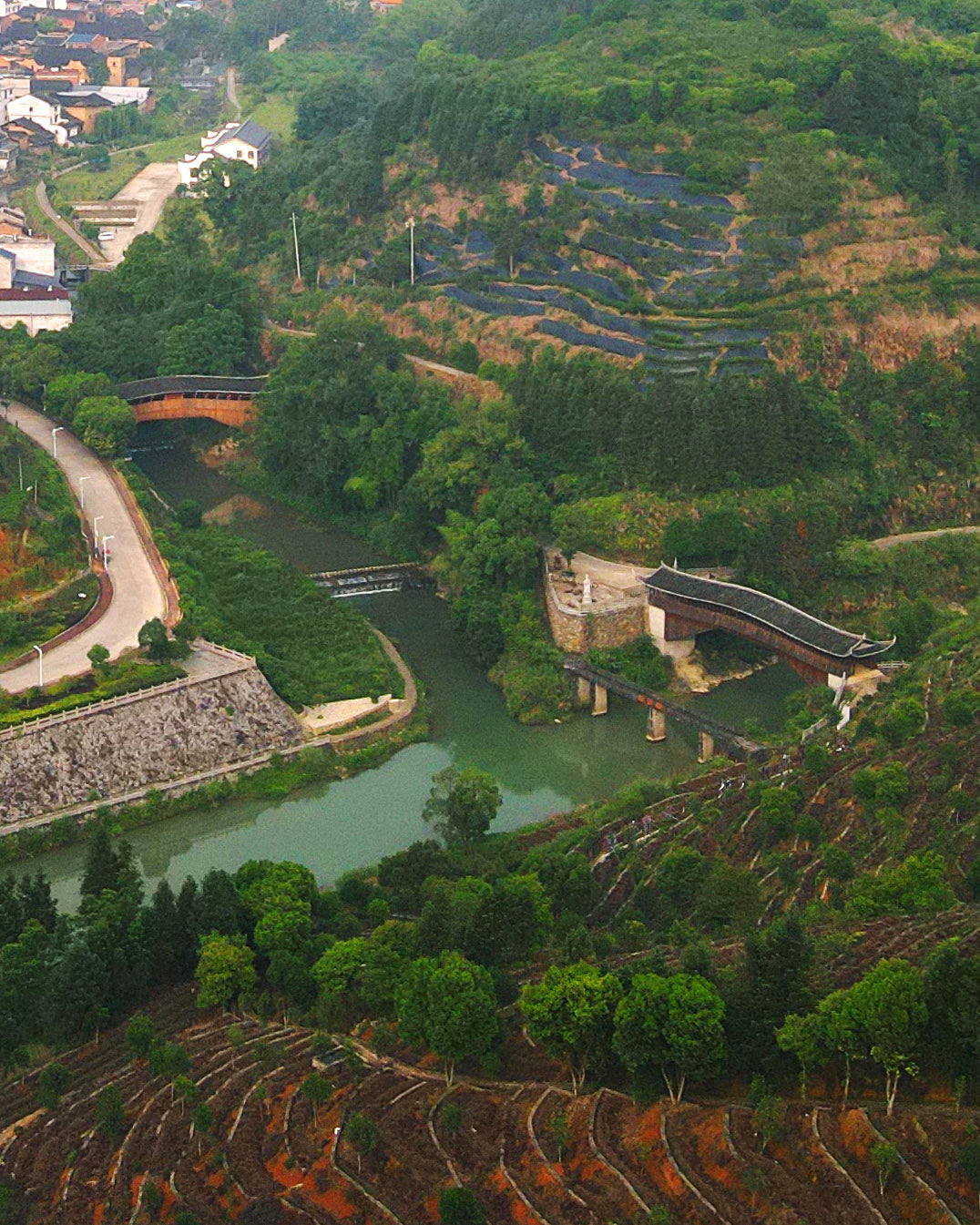 2015 Shi Liqiang AromaPrime Tea