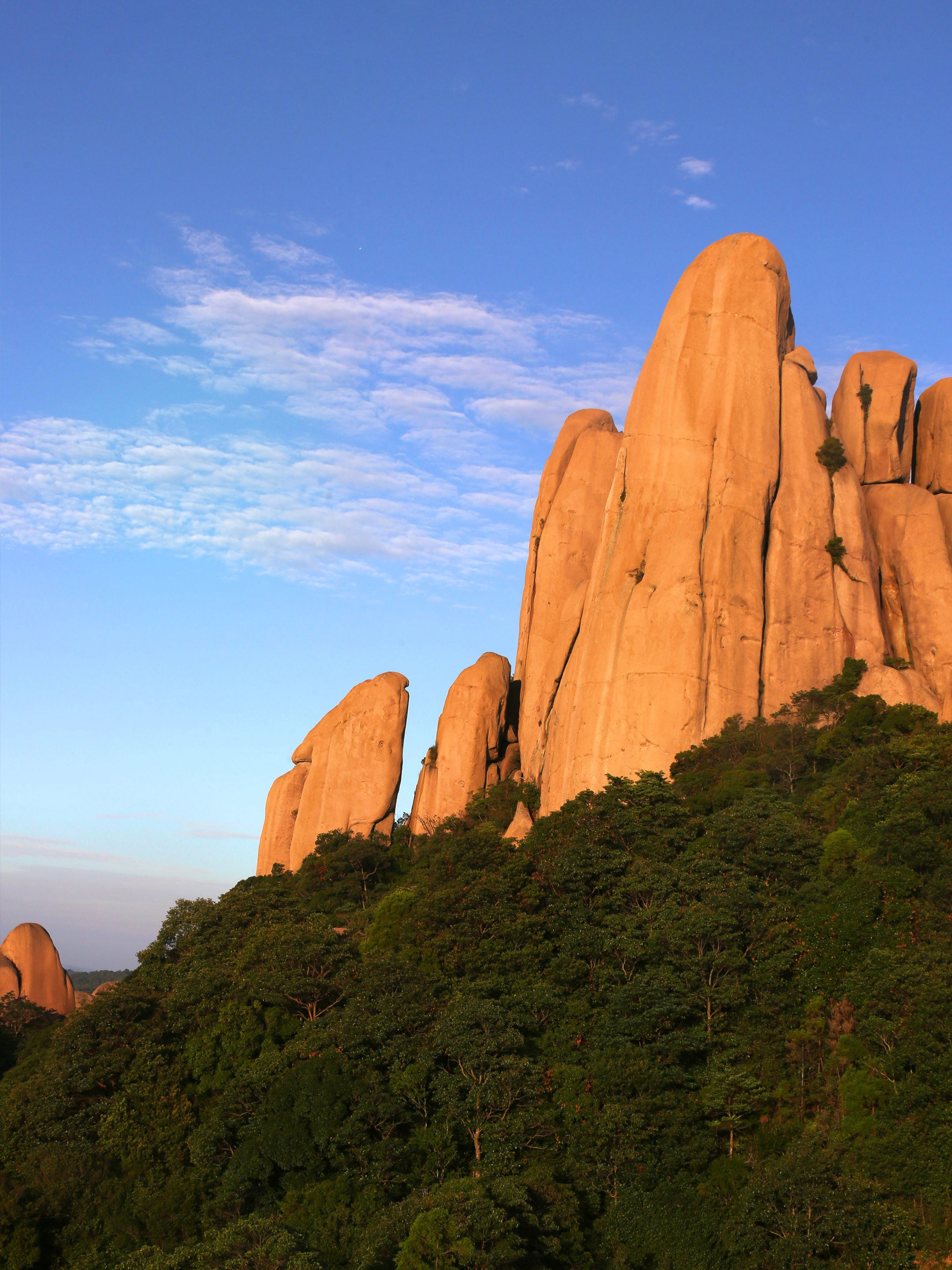 Taimu Mountain Celestial Tea