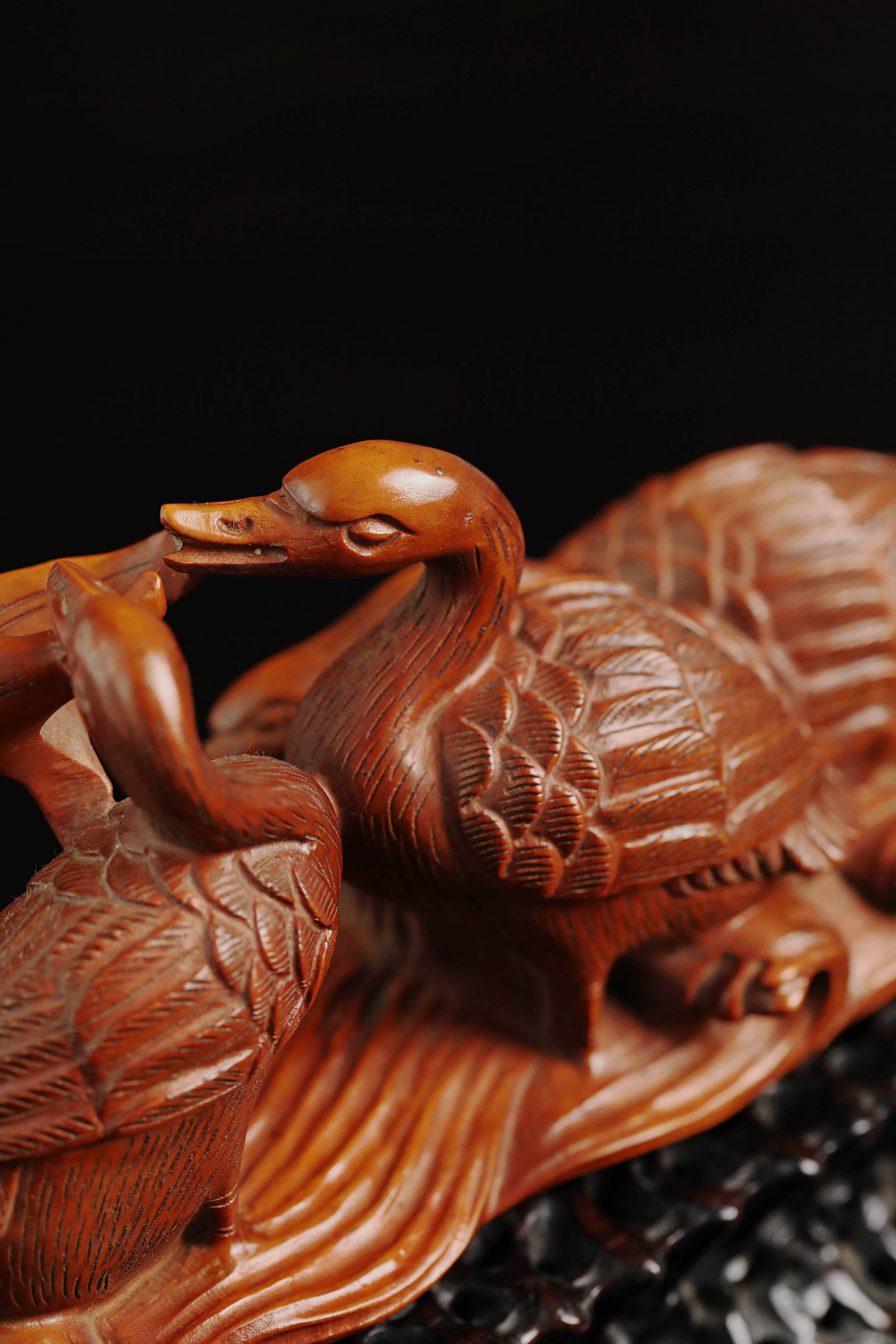 黄杨木春江水暖