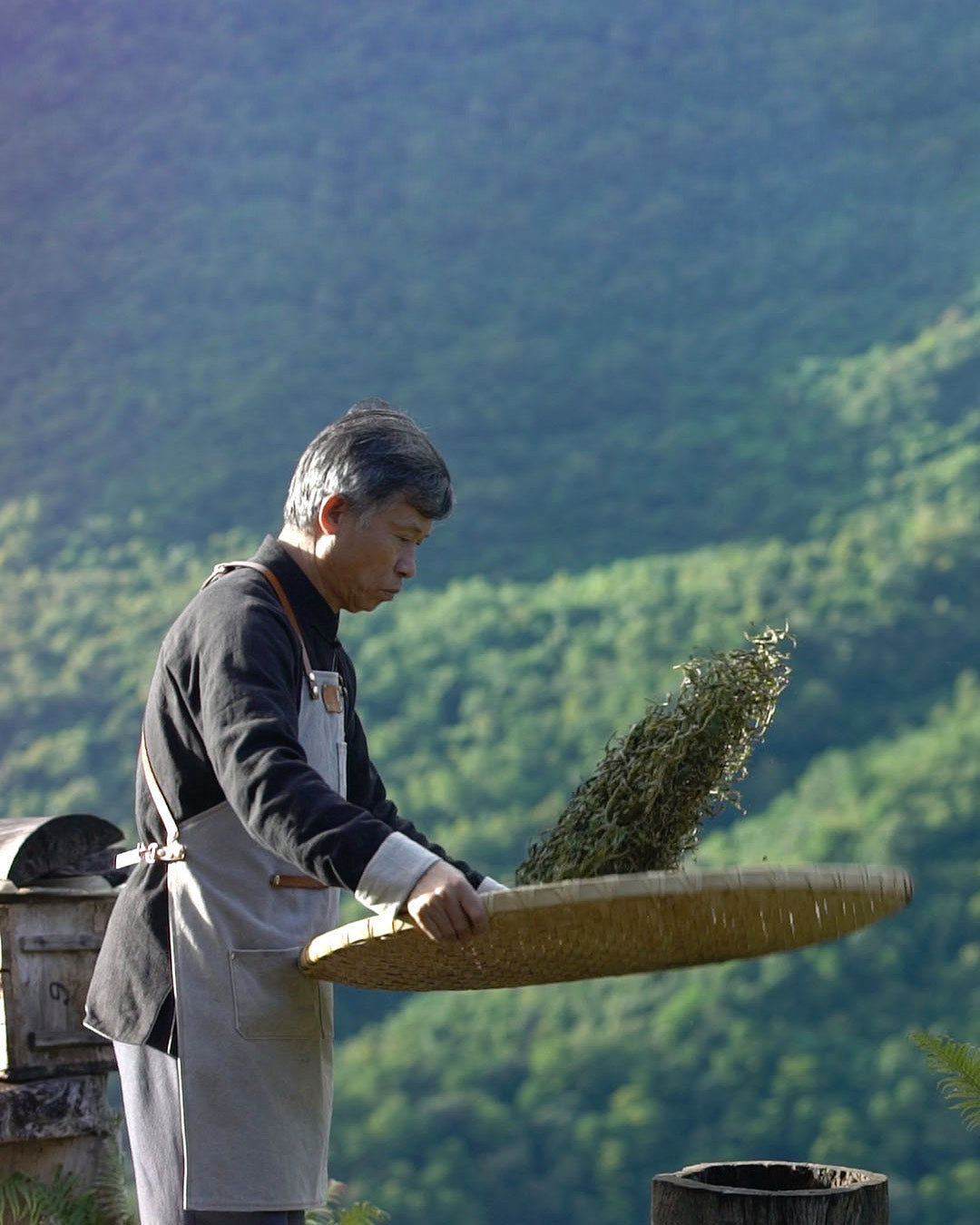 2023 Pu'er Mountain White Tea