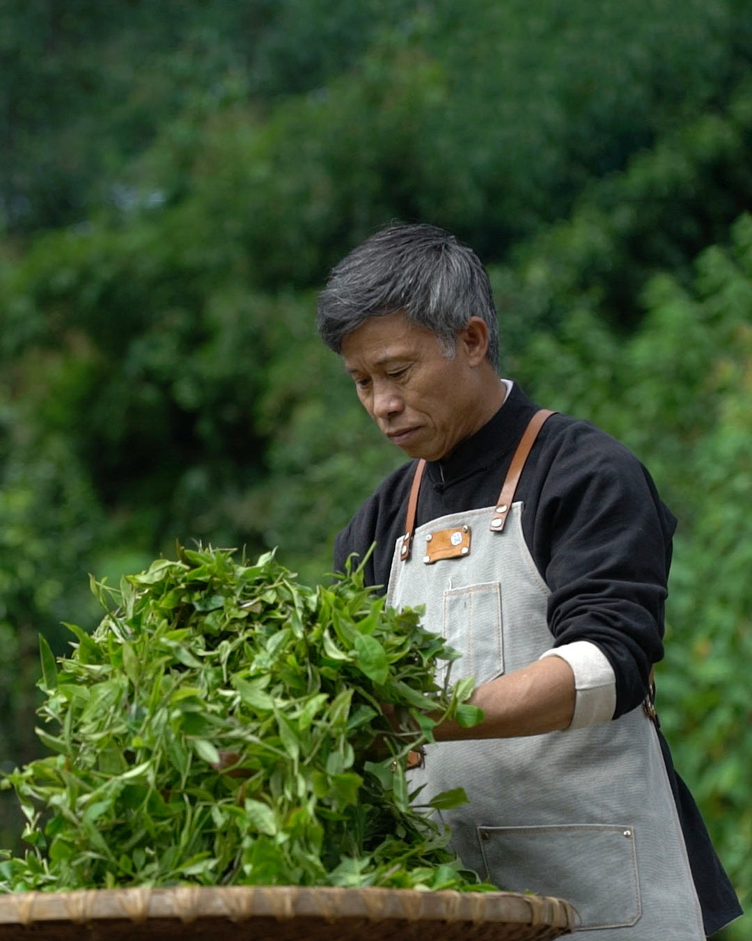 Royal Loong Tuan Tea "Golden Gourd Tribute Tea"