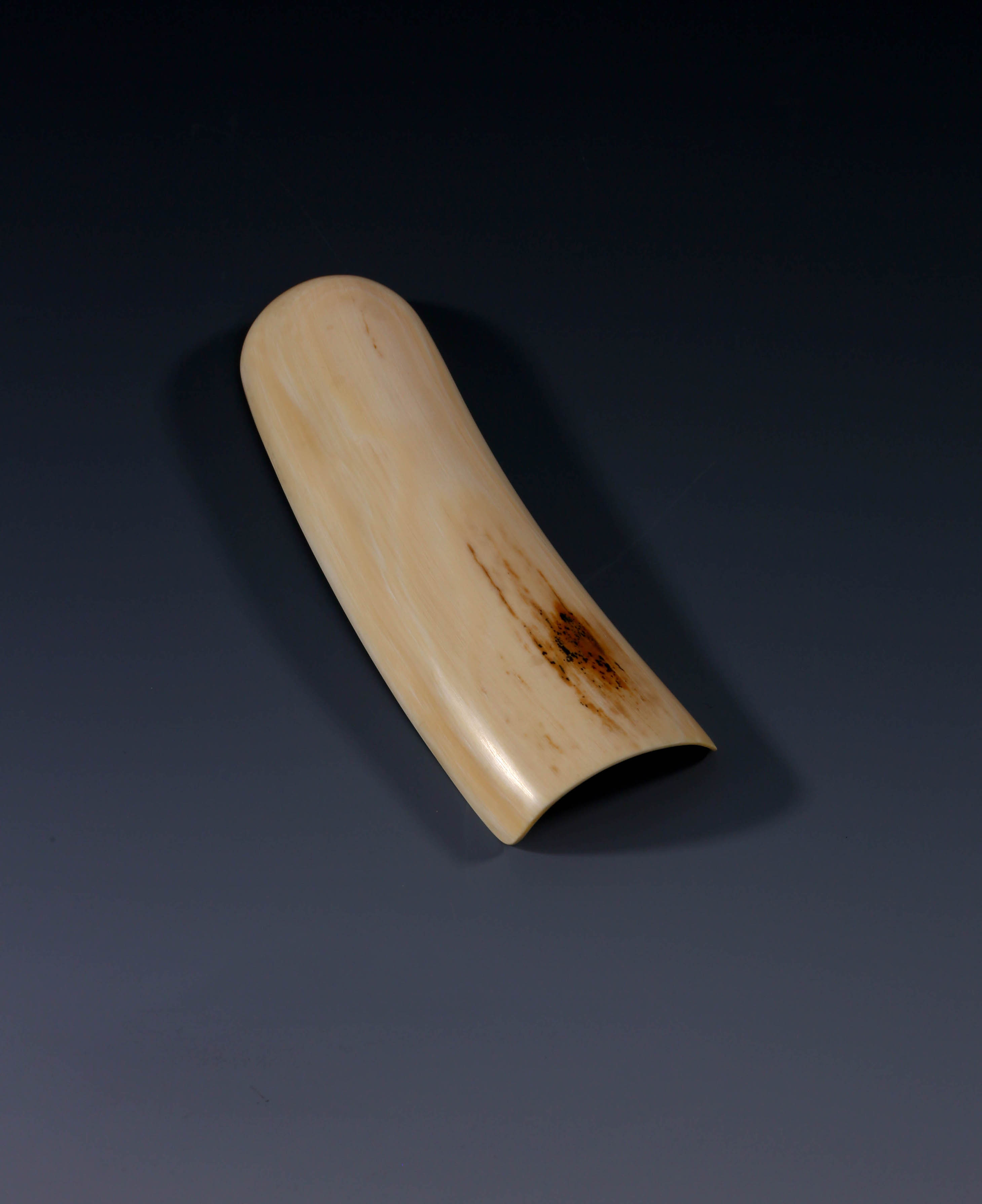 半日之闲，抵十年尘梦