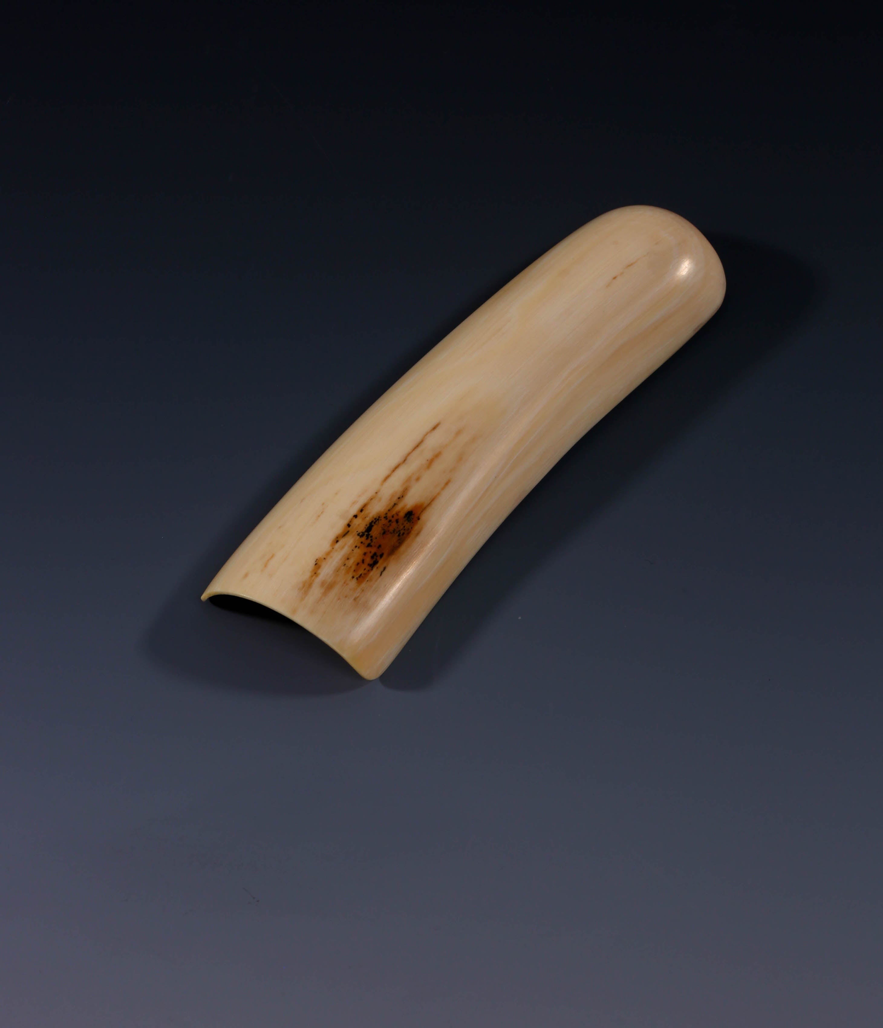 半日之闲，抵十年尘梦