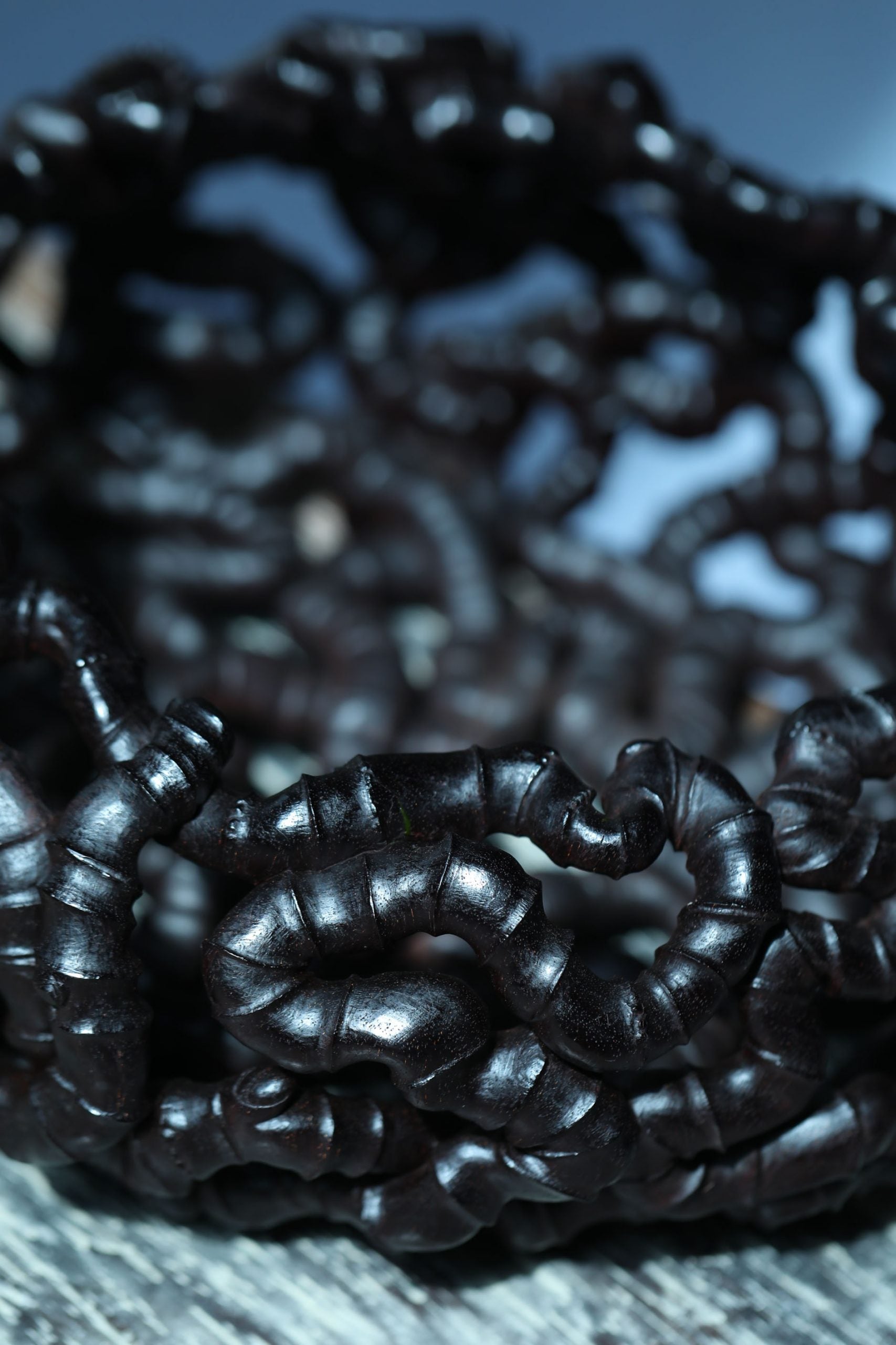 盘根错节|赵华新作品