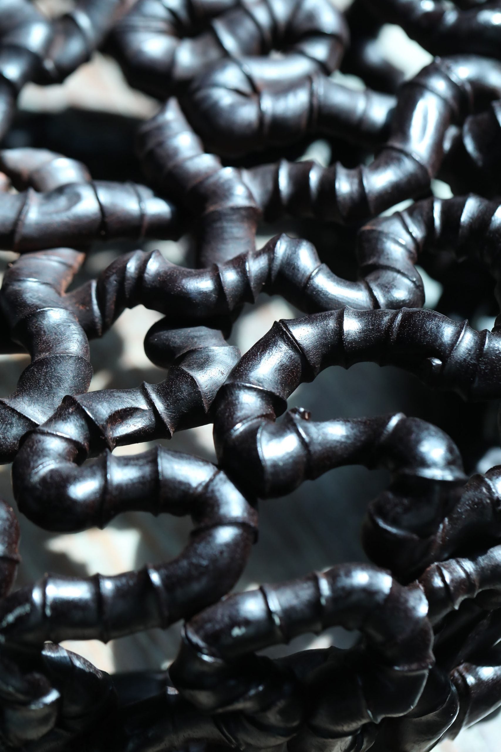 盘根错节|赵华新作品