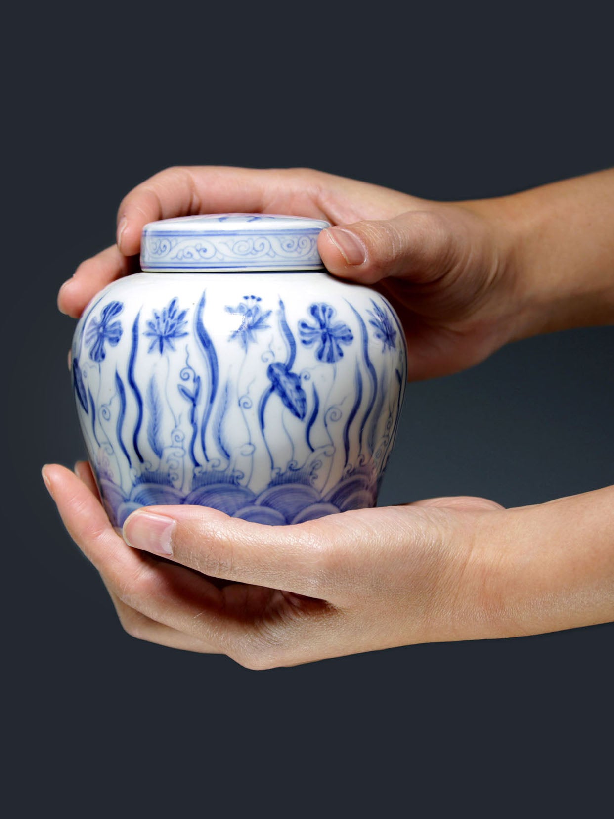 青花藻纹茶叶罐