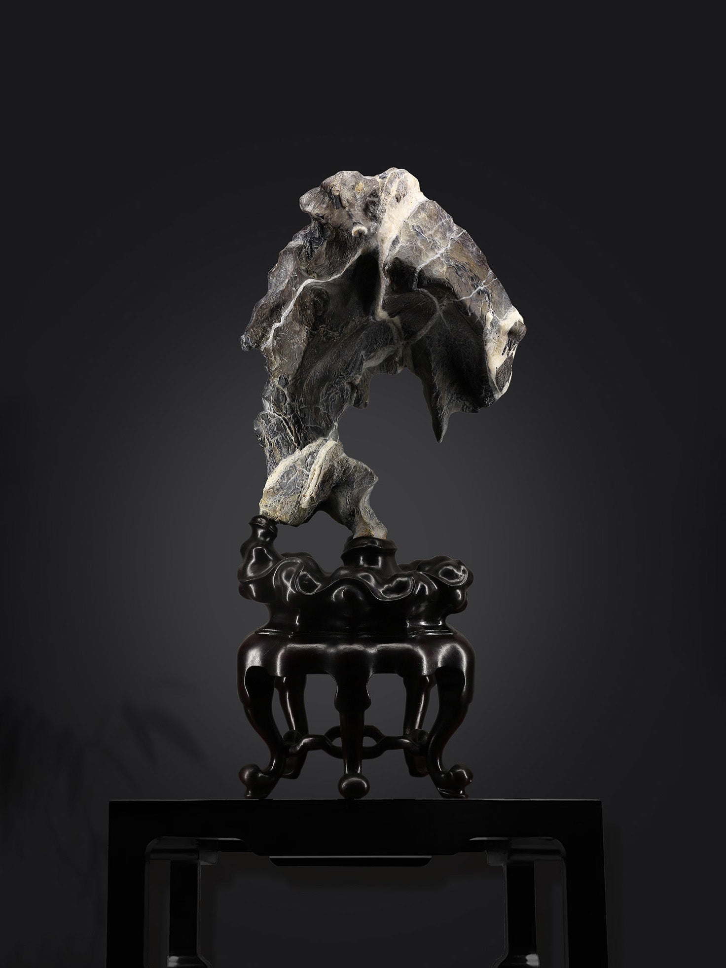 谁言行远莫致之