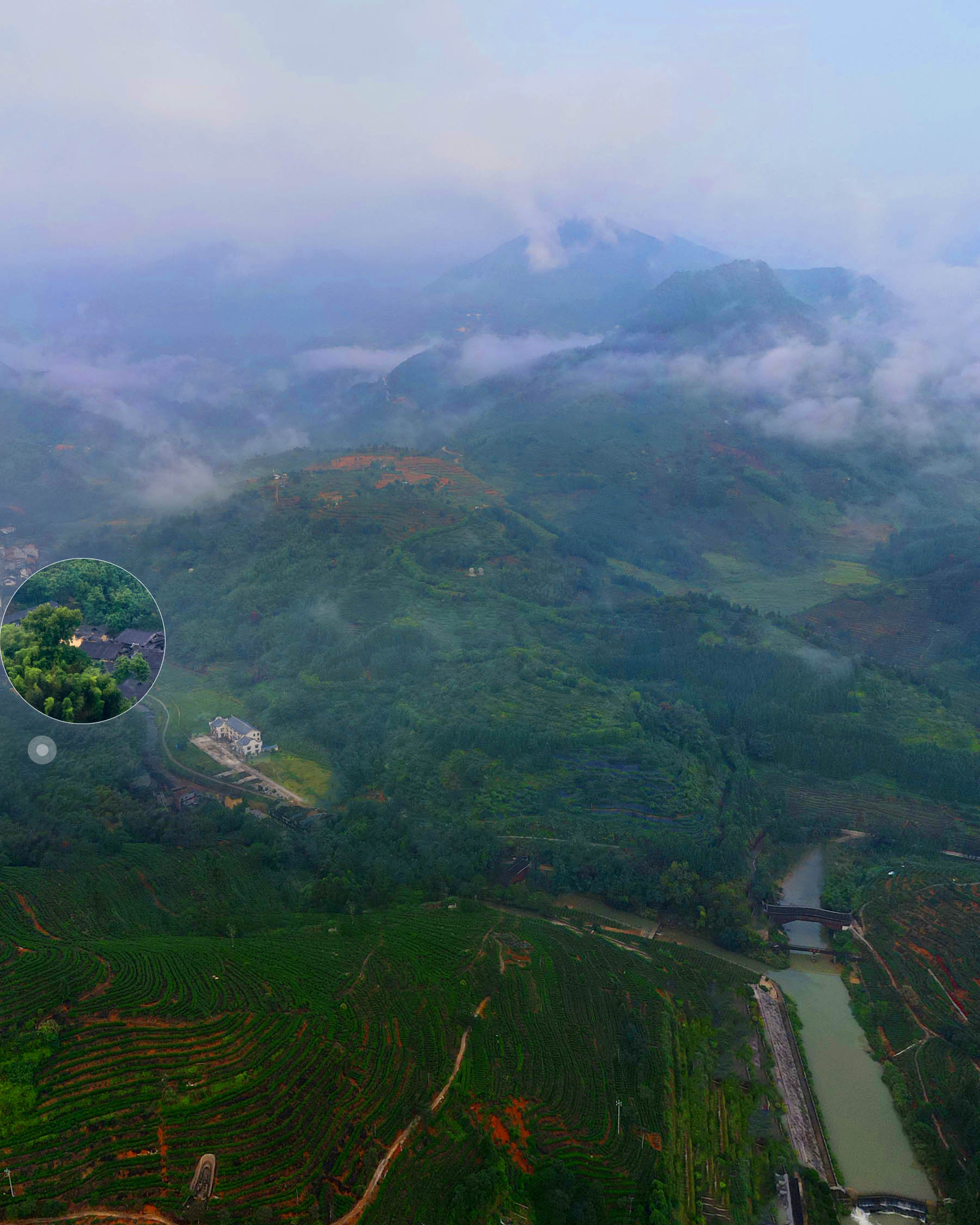 2015 Shi Liqiang AromaPrime Tea