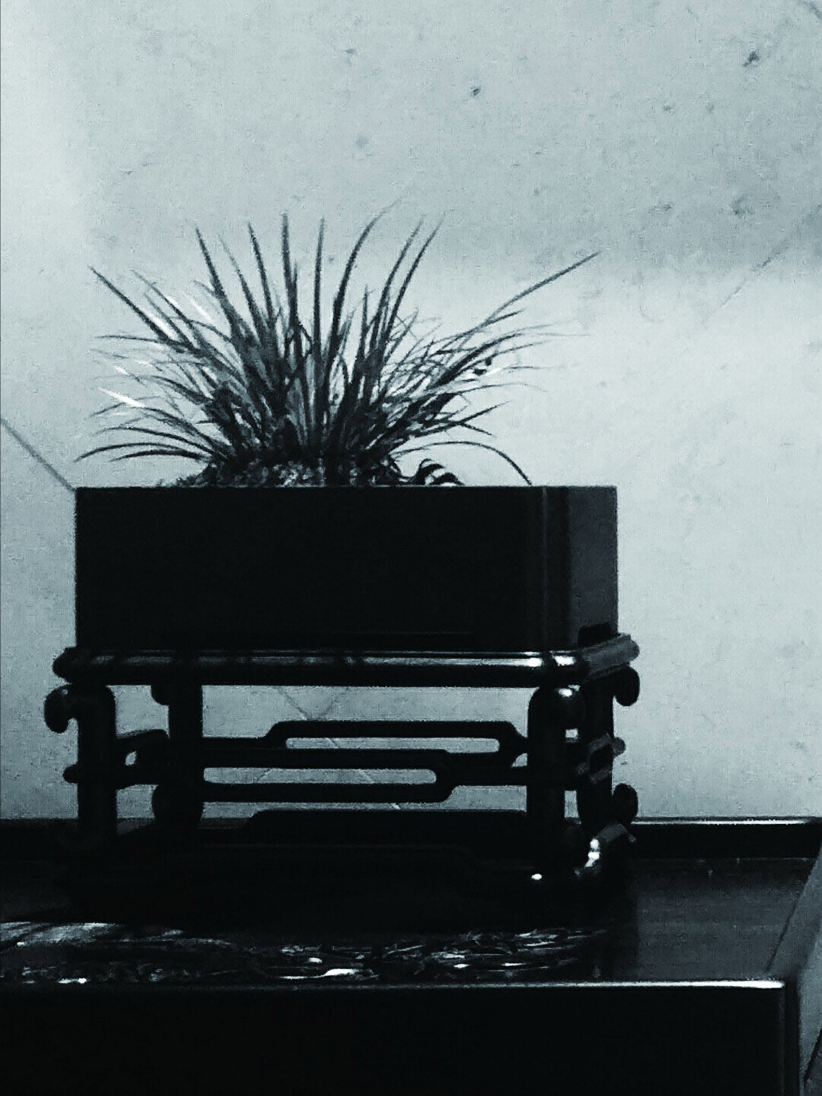 大雅堂砚石菖蒲盆