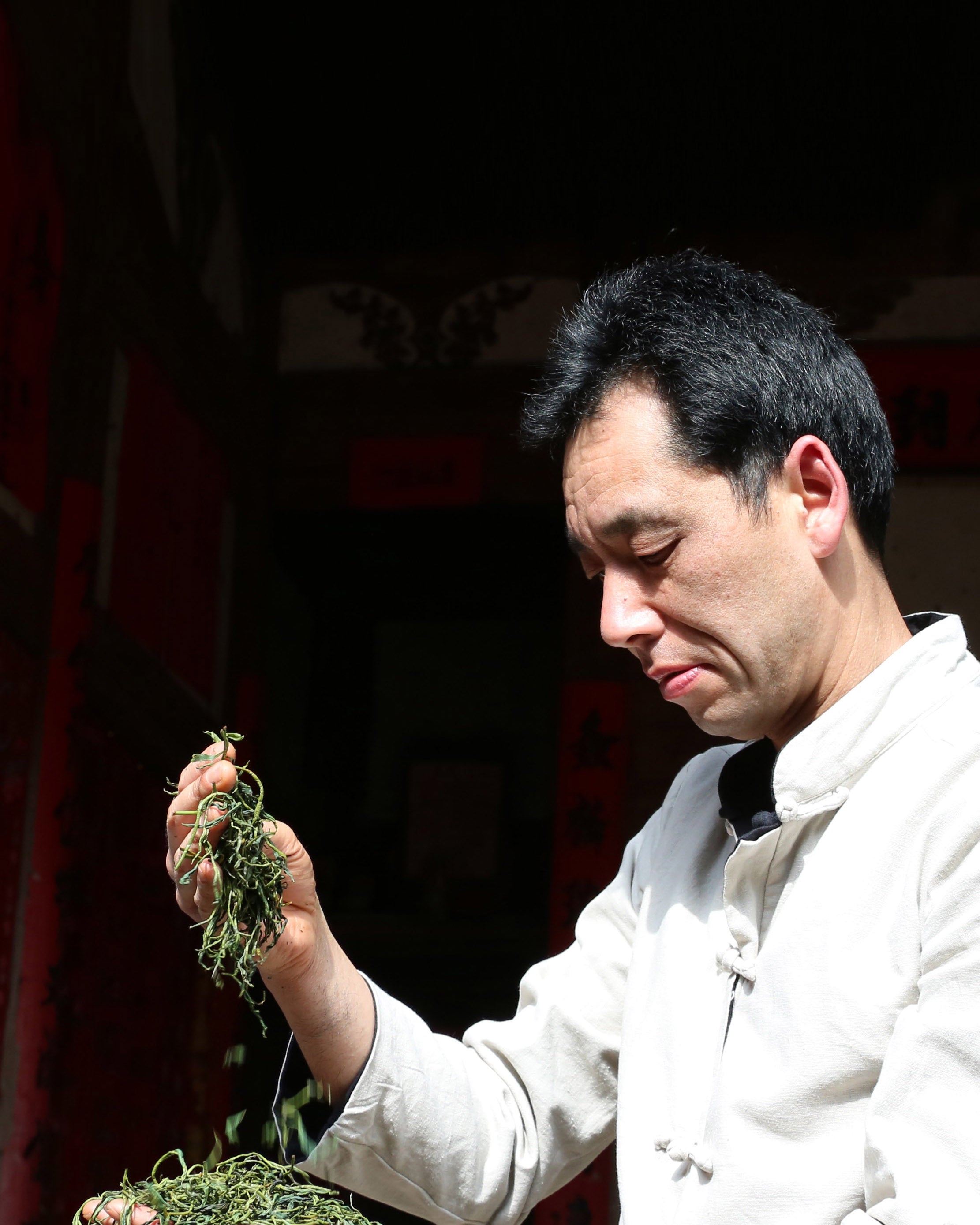 Red Mudan Tea Gongfu Black Tea